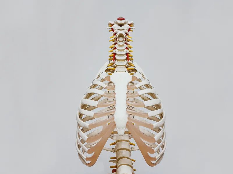 How X-Rays works at Aligned Medical Group